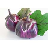 PLODOVKE JAJČEVEC PROSPEROSA 1/1 TONDA VIOLETTA L10