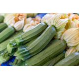 PLODOVKE L'ORTO FRUTTIFERO GRMIČASTA BUČKA 1/1 ALTEA F1 L10