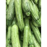 PLODOVKE L'ORTO FRUTTIFERO PLEZAJOČA BUČKA 4/1 SCUDO F1 KULTIPAK