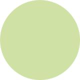 PRIPRAVLJENA BARVA JUB JUPOL JUNIOR DRAGON GREEN 330 2.5 L