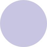 PRIPRAVLJENA BARVA JUB JUPOL JUNIOR MISS LILY 380 2.5 L