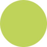 PRIPRAVLJENA BARVA JUB JUPOL TREND OLIVE 452 2.5 L