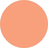 PRIPRAVLJENA BARVA JUB JUPOL TREND PAPAYA 411 2.5 L