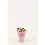 KALANHOJA KALANDIVA MIX L8