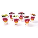 KALANHOJA MIX 6 BARV L12 VIŠ 25CM