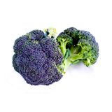 KAPUSNICE BROKOLI L10 CM
