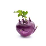 KAPUSNICE KOLERABICA KOLIBRI F1 L10 CM