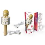 KARAOKE FOREVER BMS-300 LITE MIKROFON + ZVOČNIK