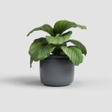 KERAMIČNI NOTRANJI LONEC ARTEVASI ASTREA 20 CM ANTRACIT