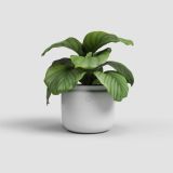 KERAMIČNI NOTRANJI LONEC ARTEVASI ASTREA 20 CM BEL