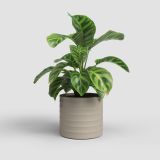 KERAMIČNI NOTRANJI LONEC ARTEVASI CHLOE 21 CM BEŽ