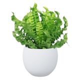 KERAMIČNI NOTRANJI LONEC LISA 130 BEL GLOSS 153X121 MM ZA L11 ALI 12