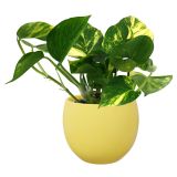 KERAMIČNI NOTRANJI LONEC LISA 130 LIMONA GLOSS 153X121 MM ZA L11 ALI 12