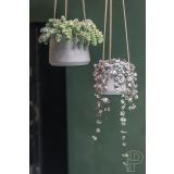 POTTERY POTS, KERAMIČNI NOTRANJI LONEC, SIV