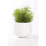 KERAMIČNI NOTRANJI LONEC POTTERY POTS KEVAN WHITE M 25 CM