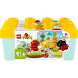 KOCKE LEGO DUPLO 10984 ORGANSKI VRT