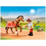 KOCKE PLAYMOBIL CONNEMARA PONI 70516