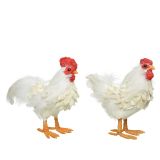 POMLADNA FIGURA KOKOŠ/PETELIN 20/17 CM SORT