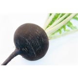 KORENOVKE REDKEV 6 KOS