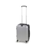 KOVČEK SCANDINAVIA CARBON SERIES 40L SIV