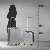 KOVČEK SCANDINAVIA CARBON SERIES 60L SIV