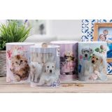 KOVINA STAR HRANILNIK ŽIVALI 12X16 CM SORTIRANO