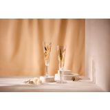 KOZAREC ZA PENINO 250 ML GOLDNACHT 2/1 1071048