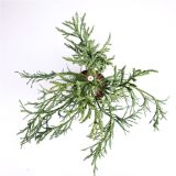 IGLAVEC KRIPTOMERIJA RASEN L23