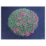 KRIZANTEMA MNOGOCVETNA PREMER 60 CM