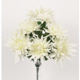 SVILENO CVETJE DAR KRIZANTEMA ŠOPEK X 12 KREM