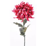 SVILENO CVETJE DAR KRIZANTEMA VEJICA X 1 63CM FUKSIJA