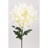 UMETNO CVETJE KRIZANTEMA VEJICA X 1 63CM KREM