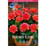 L DALIJA BERLINER KLEENE