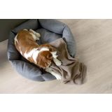 LAMINAT, 10MM, 32. RAZRED EGGER HOME CLASSIC HRAST PLAIN SREBRNI EHL116