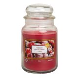 SVEČA V KOZARCU ALADINO LARGE JAR FROSTED CHERRY