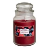 SVEČA V KOZARCU ALADINO LARGE JAR MIXED BERRIES