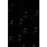 LUČKE MQ LASERSKI IN LED PROJEKTOR EFEKT SNEŽENJA