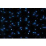 LUČKE MQ LASERSKI IN LED PROJEKTOR EFEKT SNEŽENJA