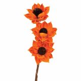 LESENO CVETJE SESTAVLJENO CVETJE ORANŽNO