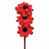 LESENO CVETJE SESTAVLJENO CVETJE RDEČA