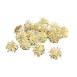 SUHO CVETJE LEUCOSPERNUM CVET 100G