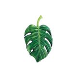 VODNA BLAZINA INTEX LIST 206X132 CM ZELEN