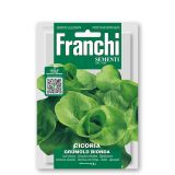 LISTNA ZELENJAVA FRANCHI SEMENTI RADIČ GRUMOLO BIONDA