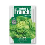 LISTNA ZELENJAVA FRANCHI SEMENTI SOLATA ATTRAYIONE