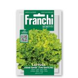 LISTNA ZELENJAVA FRANCHI SEMENTI SOLATA GENTILINA