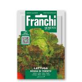 LISTNA ZELENJAVA FRANCHI SEMENTI SOLATA ROSSA DI TRENTO