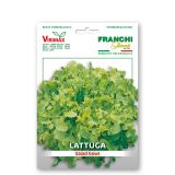 LISTNA ZELENJAVA FRANCHI SEMENTI SOLATA SALAD BOWL