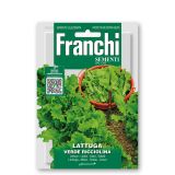 LISTNA ZELENJAVA FRANCHI SEMENTI SOLATA VERDE RICCIOLINA
