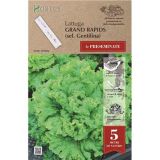 LISTNA ZELENJAVA ROYAL SEEDS SEME NA TRAKU SOLATNICA GENTILINA