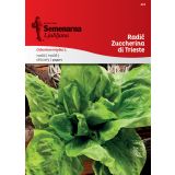 LISTNA ZELENJAVA SEMENARNA RADIČ ZUCCHERINA DI TRIESTE 424